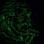 Profile picture for user rafaelbarucalmaguerlpez